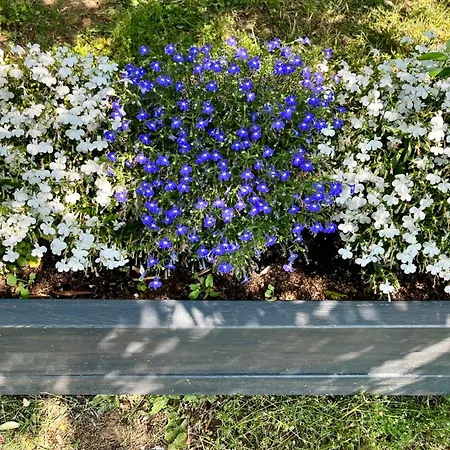 Pensionat Corte Lavarini Fumane