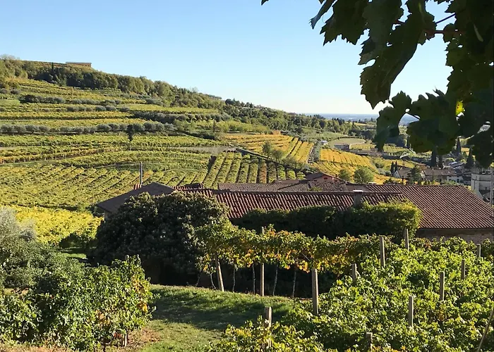 게스트하우스 Corte Lavarini