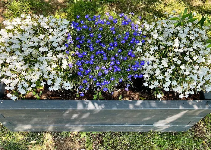 게스트하우스 Corte Lavarini 푸르마네