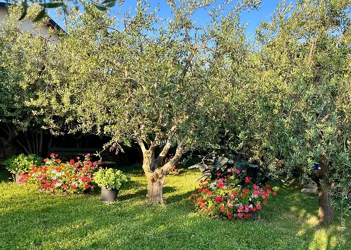 Corte Lavarini 푸르마네